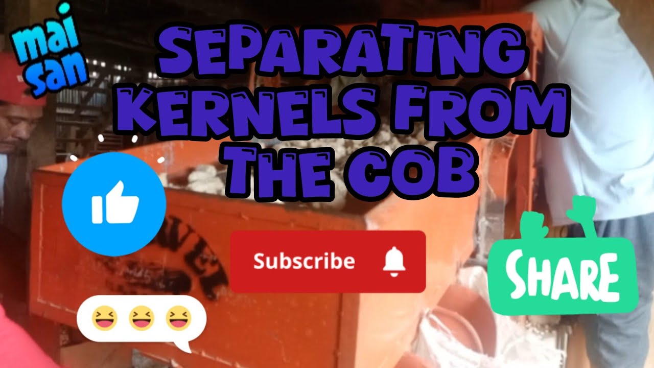 separating CORN KERNELS and CORN COBS