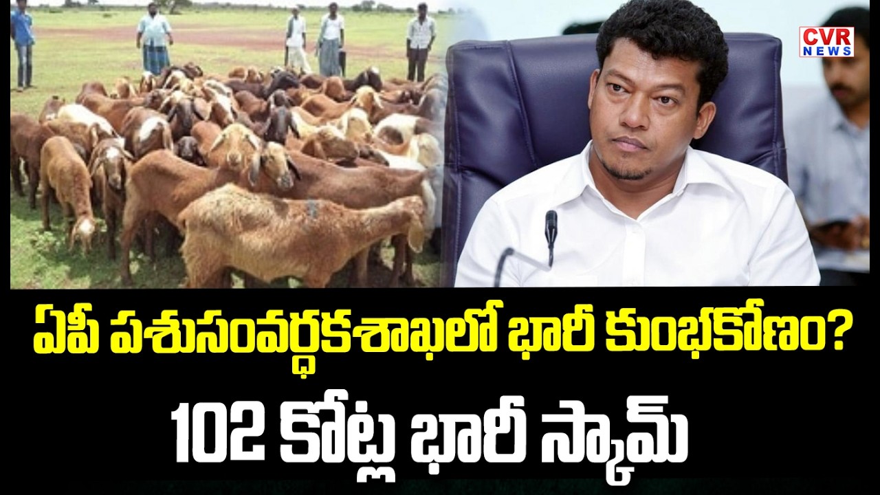 ఏపీ పశుసంవర్ధకశాఖలో భారీ కుంభకోణం?..102 కోట్ల భారీ స్కామ్ | Massive Scam In The AP Animal Husbandry