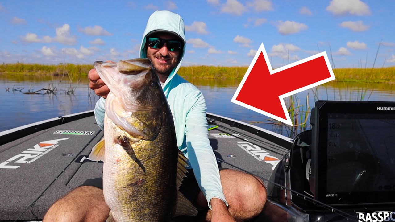 THE GIANT BASS ARE MOVING IN!! (LAKE OKEECHOBEE)