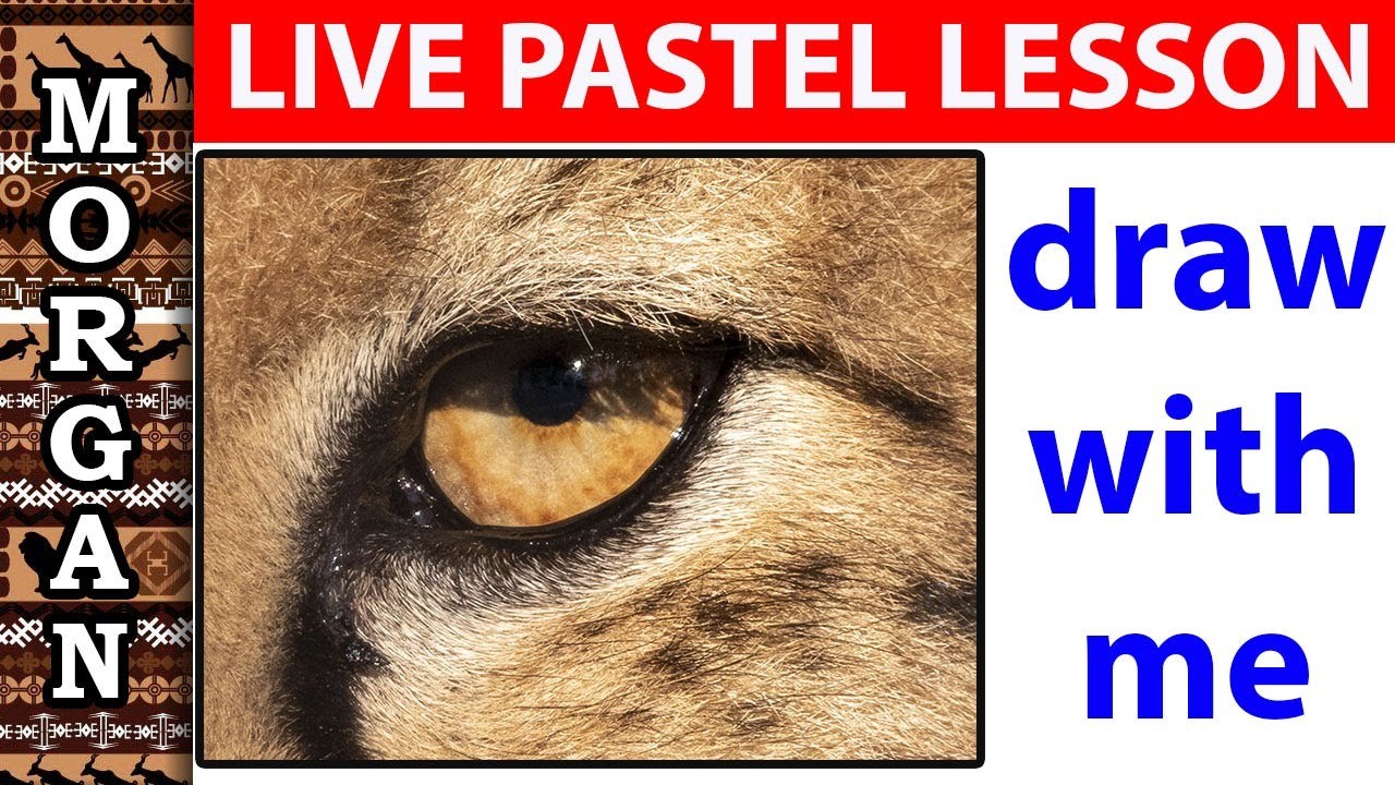 Pastels Pencils  - LIVE draw along lesson @wildlifeartjm