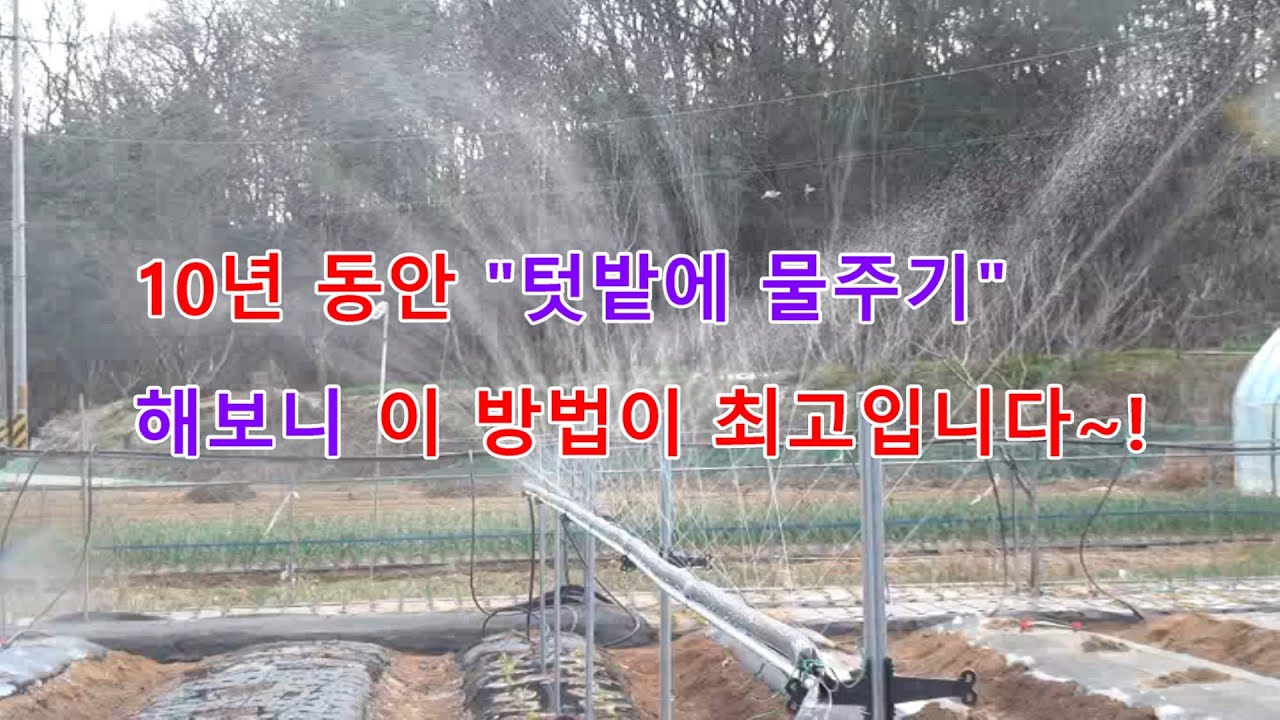 My Easy Way to Create a Rainy Garden Without Worries About Water
