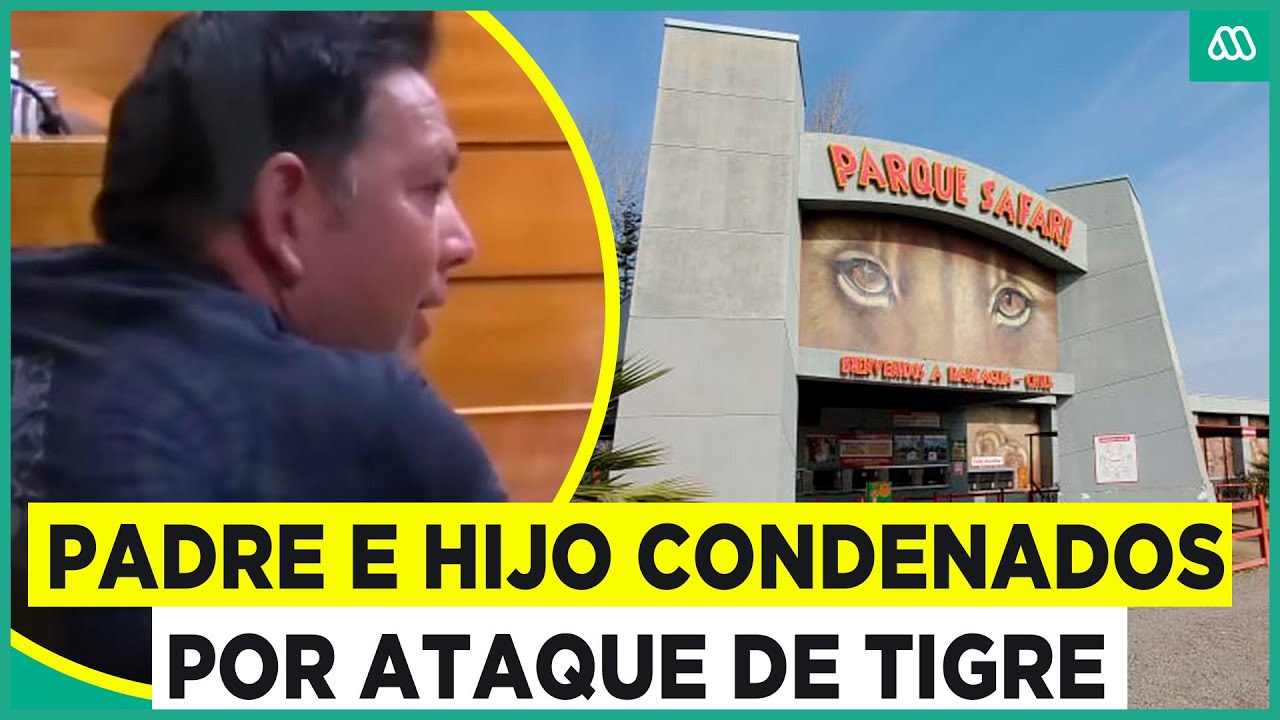Condenan a dueños de safari de Rancagua: Tigre atacó a una mujer