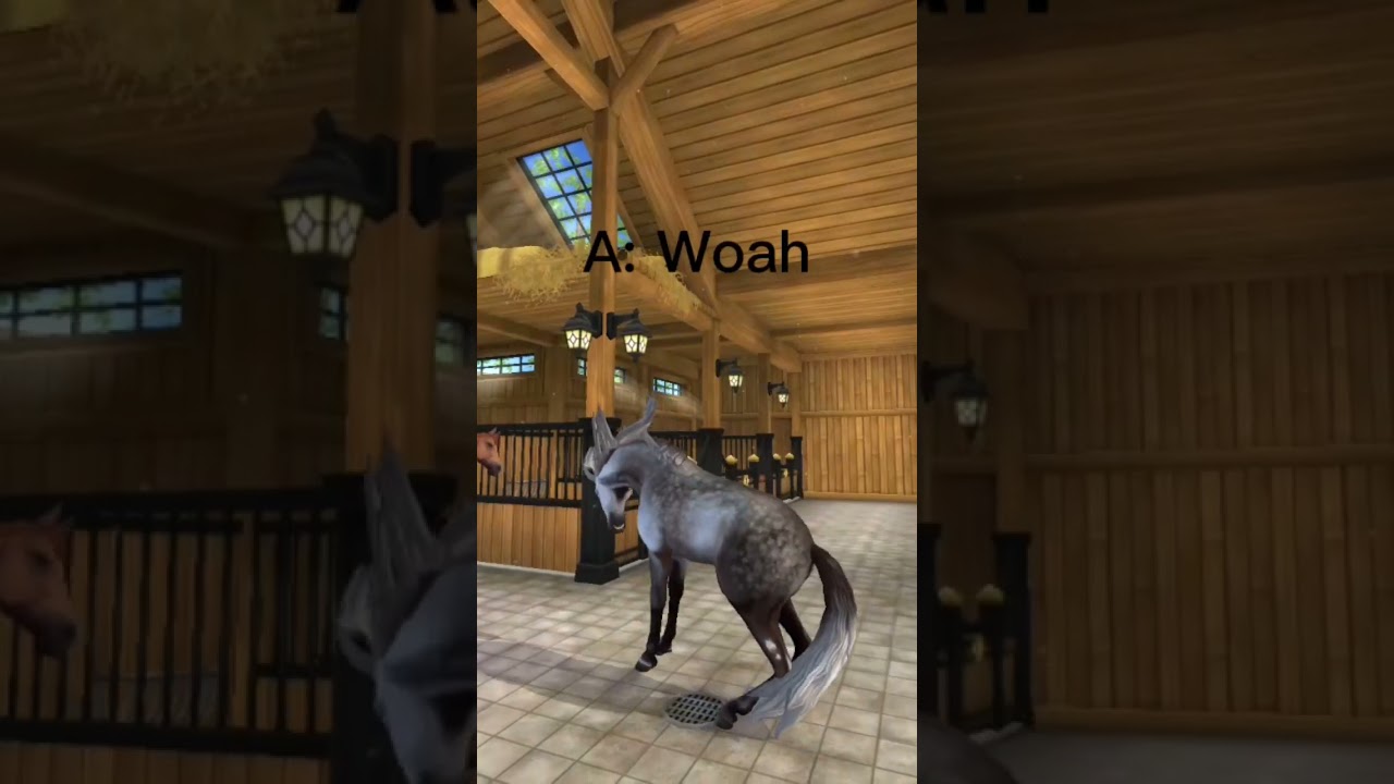 How I feel everytime I buy a new horse... #starstable *not my sound and idea*