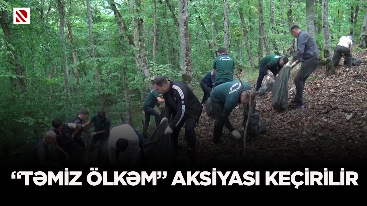 “Təmiz ölkəm” aksiyası keçirilir - Qubada meşə ərazisi məişət tullantılarından təmizlənib