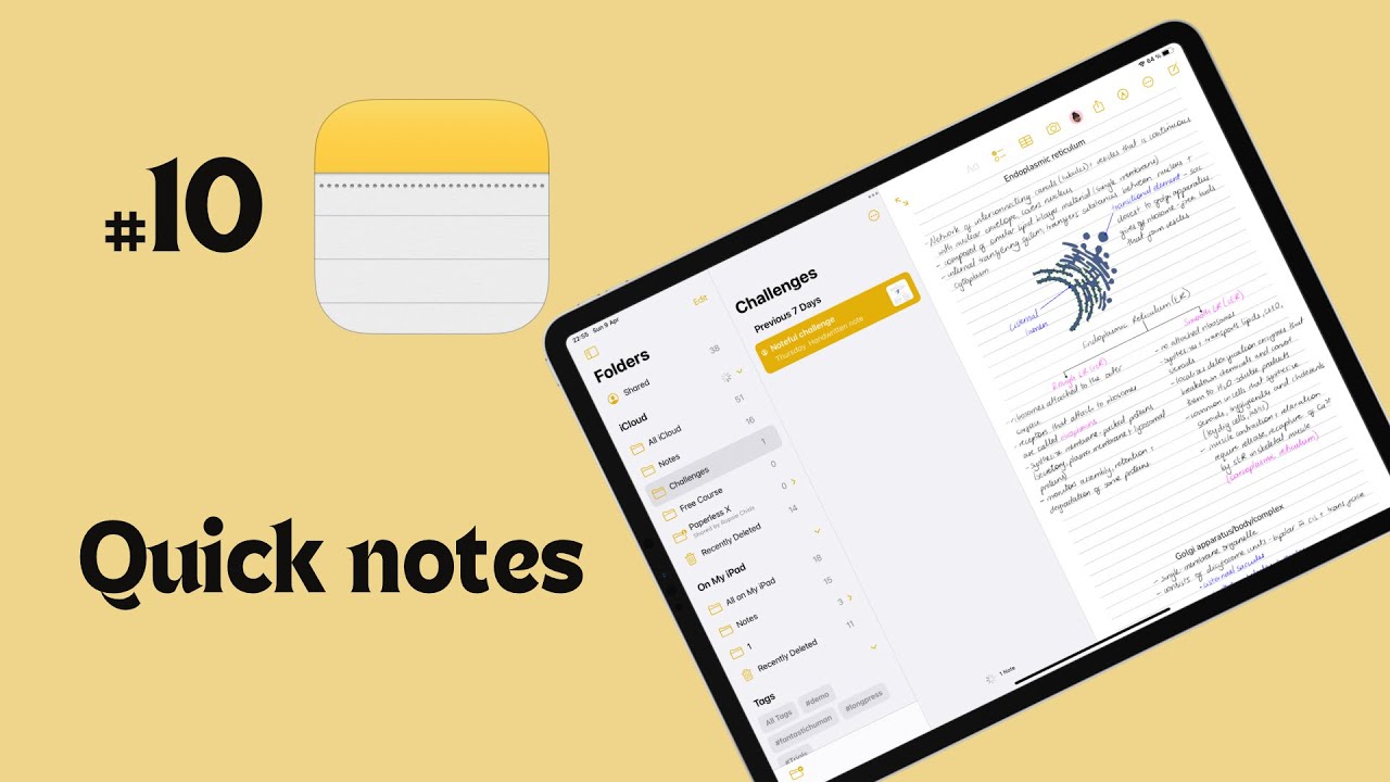 #10 Apple Notes (iPad): how to use quick notes for beginners