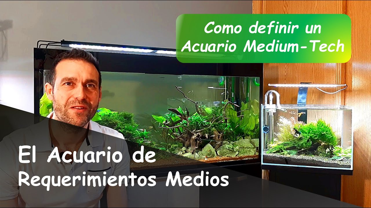 A MEDIUM-TECH PLANTED TANK: DEFINITION AND MAIN FEATURES