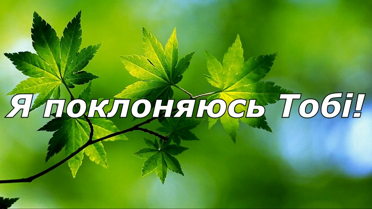 Я поклоняюсь Тобі!