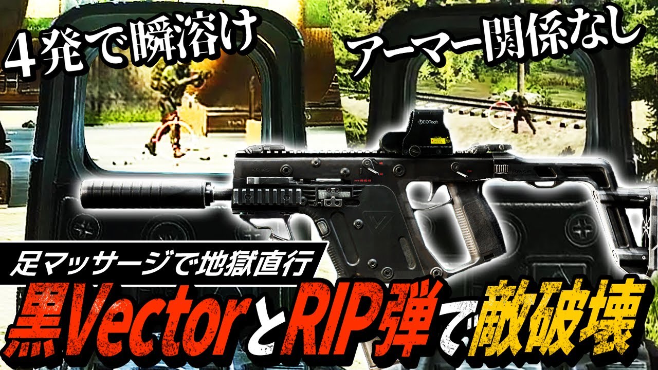 【タルコフ】４発で敵が溶ける！黒Vectorと凶悪RIP弾で最強装備プレイヤーをなぎ倒す！【ゆっくり実況】