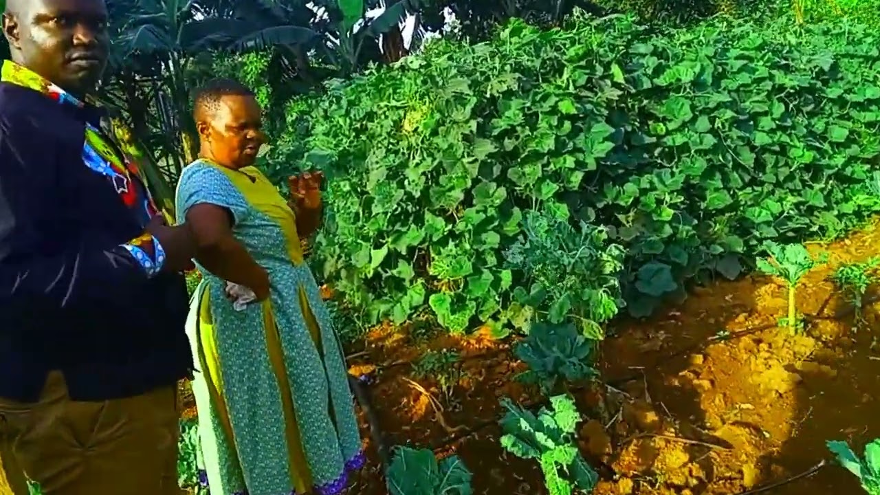 A Super African Woman @Fashion_Prince254 Tv