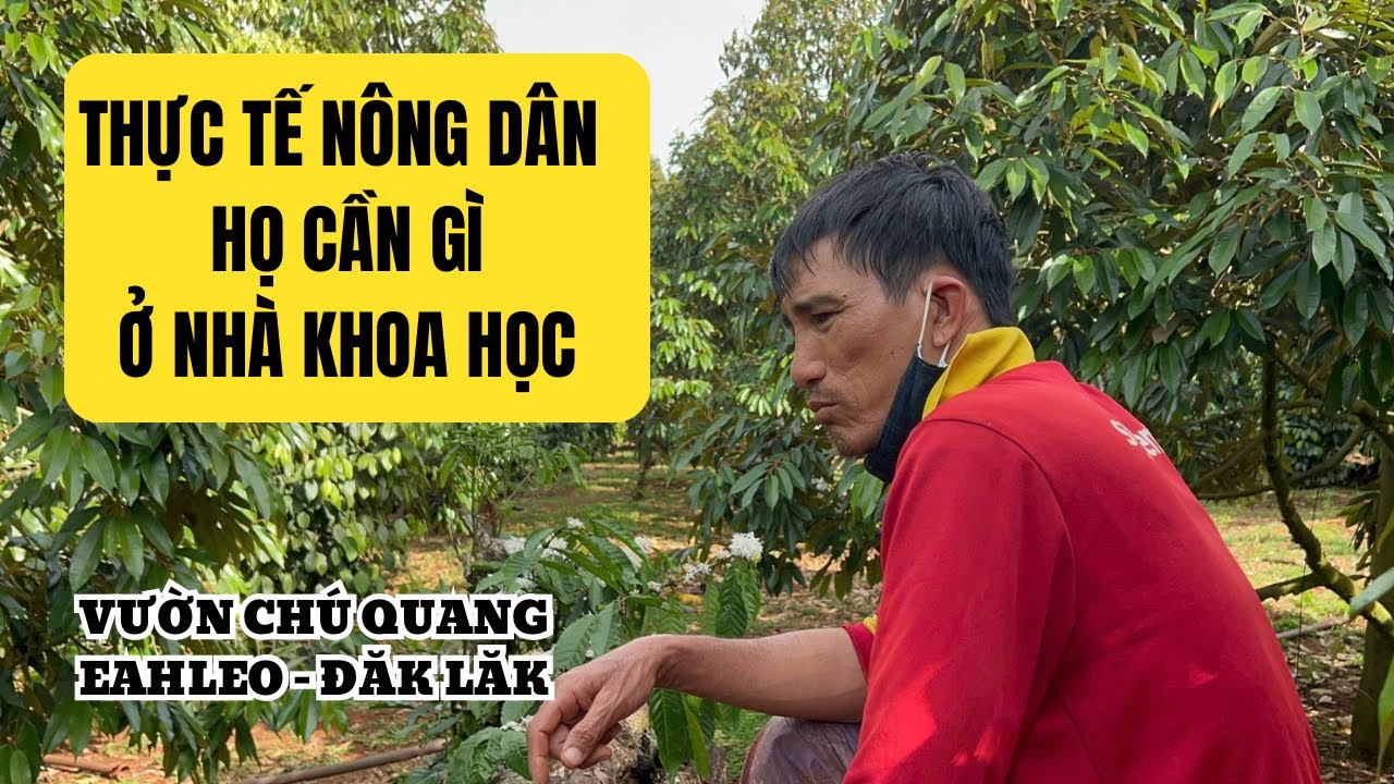 NÔNG DÂN TỰ BƠI GIỮA RỪNG PHÂN THUỐC