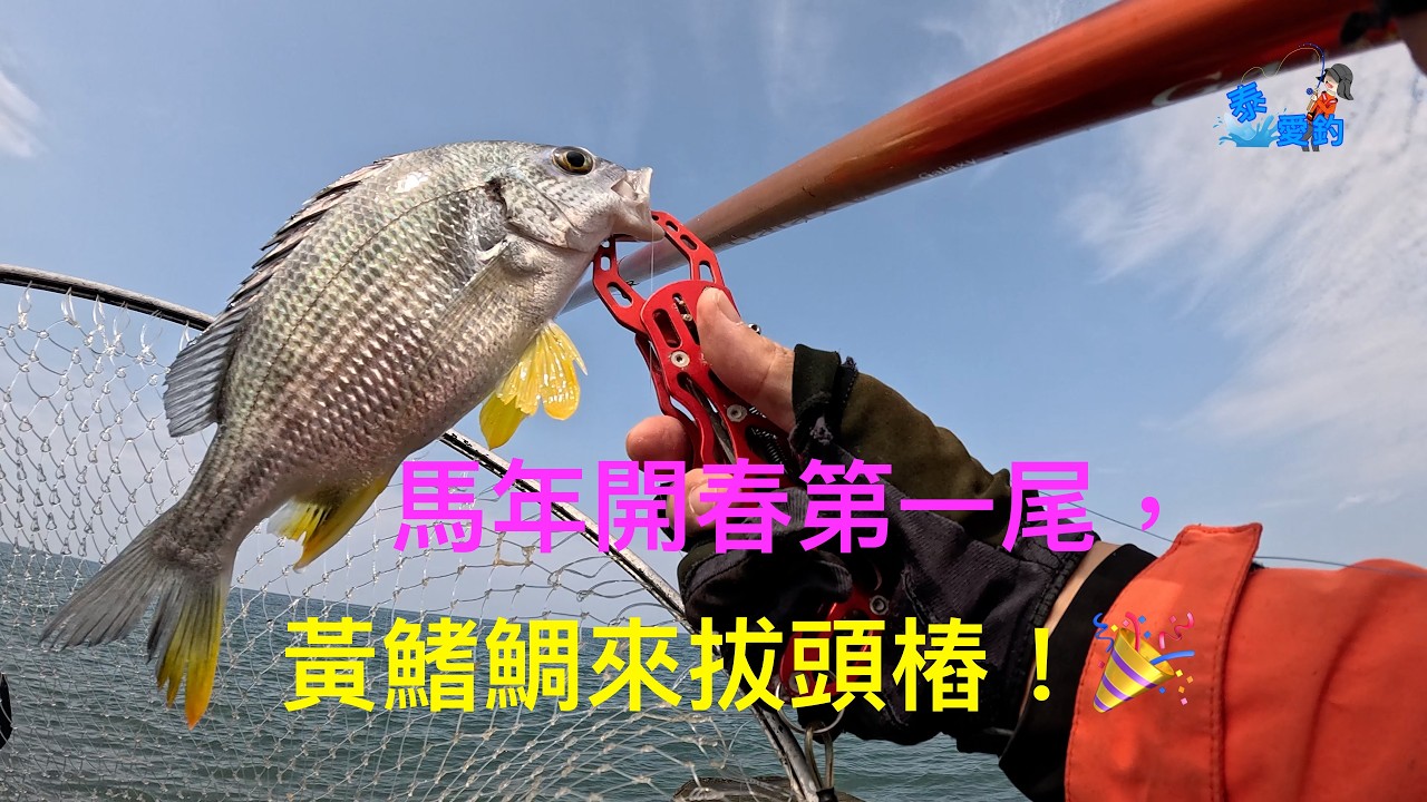 「泰愛釣」前打/目印浮球-大年初六，趁著天氣大好，來試試手氣。果然，開釣大吉啊！🎉