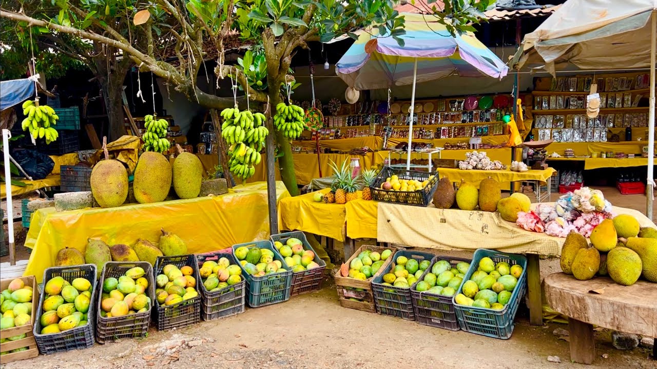 De Tepic a Puerto Vallarta por la libre dicen que el camino es mejor que el destino