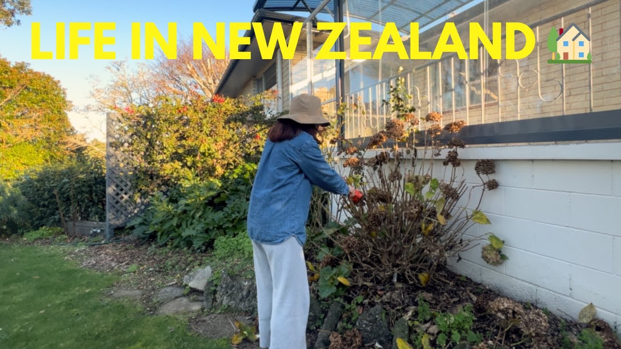 Our slow life in New Zealand | Simple life | Weekend routine | Cooking | house chores