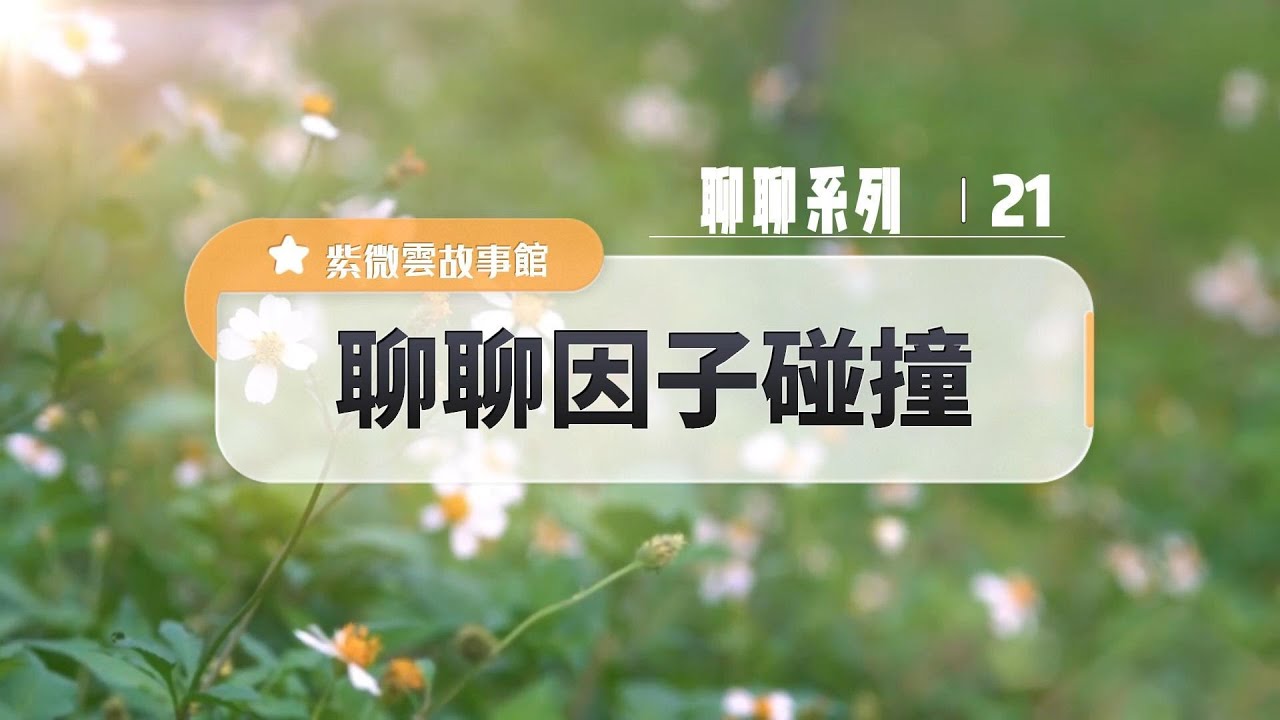 聊聊因子碰撞【星性、生命故事與省思】紫微雲創辦人&董事長-鍾世森老師-國立中興大學 #紫微雲故事館 #紫微斗數 #紫微斗數教學 #命理 #身心靈成長  #因子碰撞