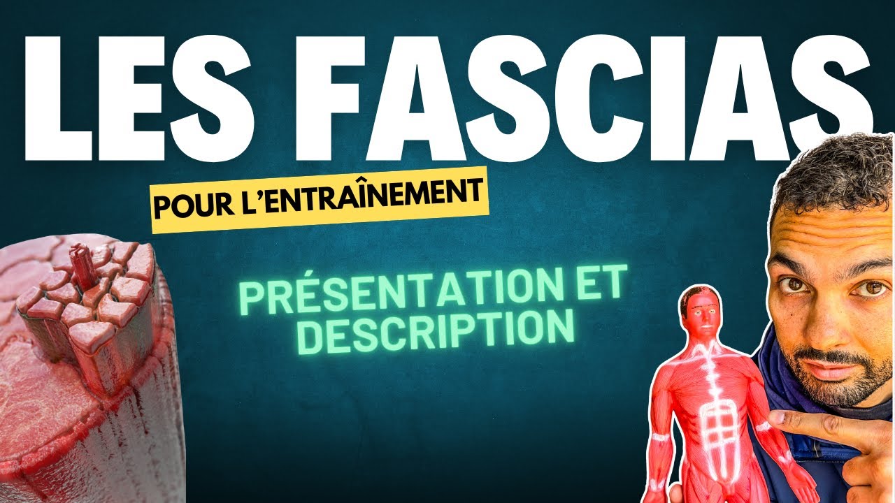 Les fascias : créer une armure de collagène pour les athlètes