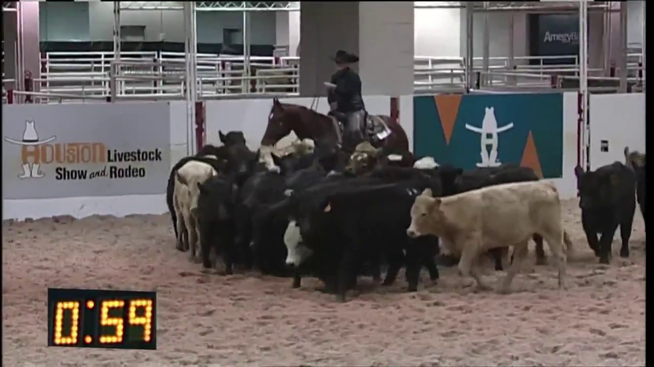Versatility Ranch Horse World Championship
