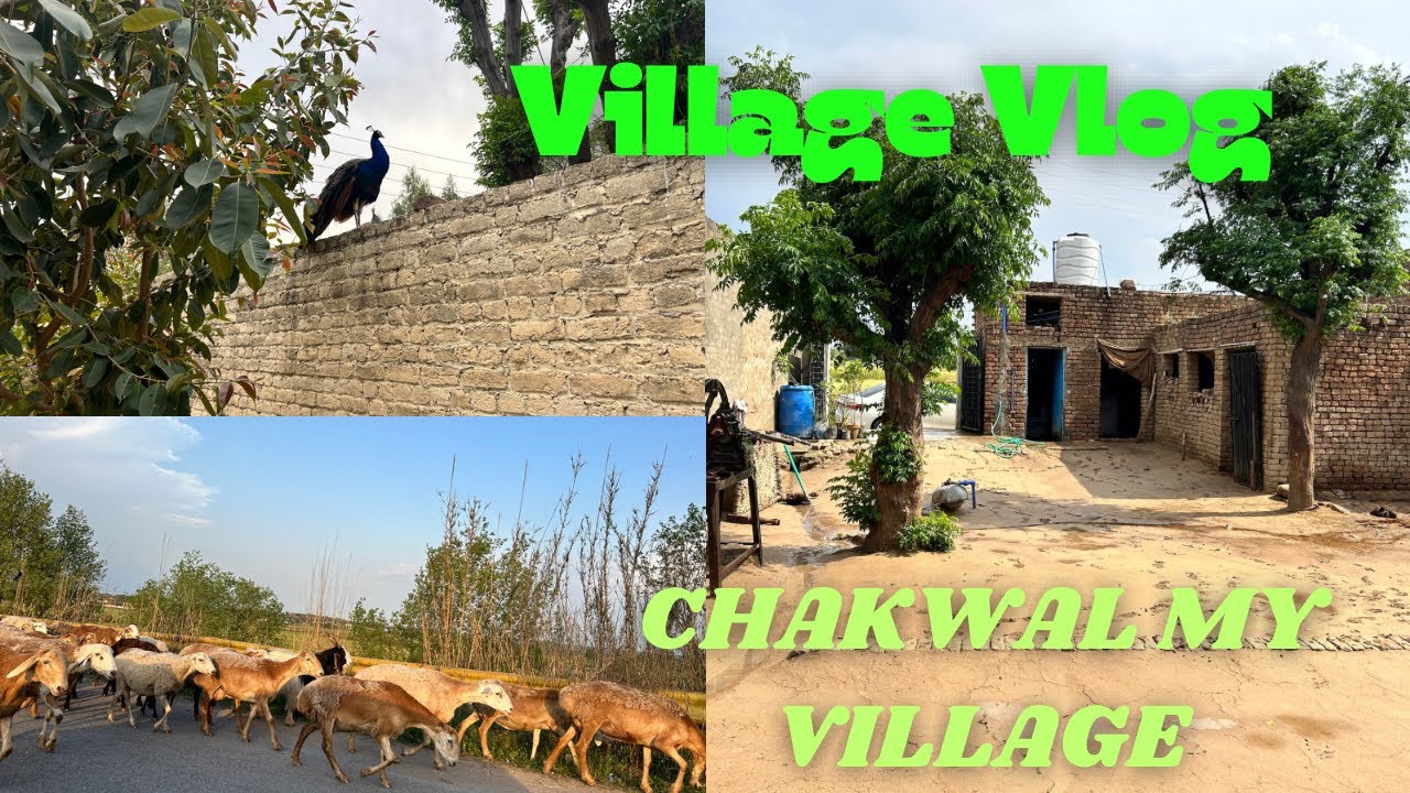 My beautiful village in chakwal Pakistan