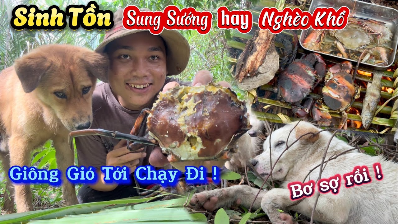 Sinh Tồn Một Ngày Trong Rừng Mưa Không Biết Sung Sướng Hay Nghèo Khổ - Bơ Bị Bỏ Lại Trong Rừng
