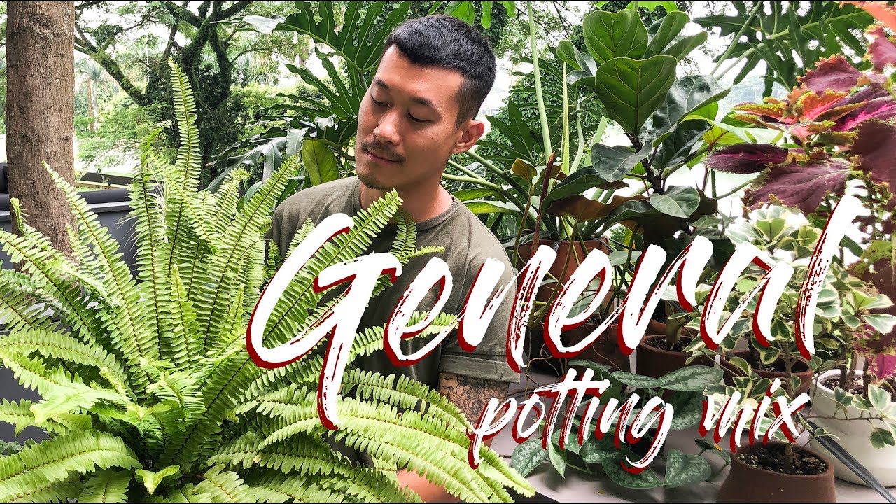 General Potting mix