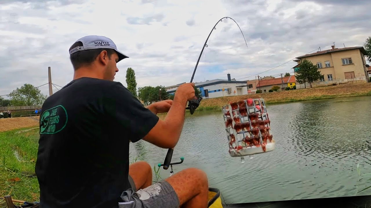 Feeder I Dani Piva u Zrenjaninu - Jezero u Centru