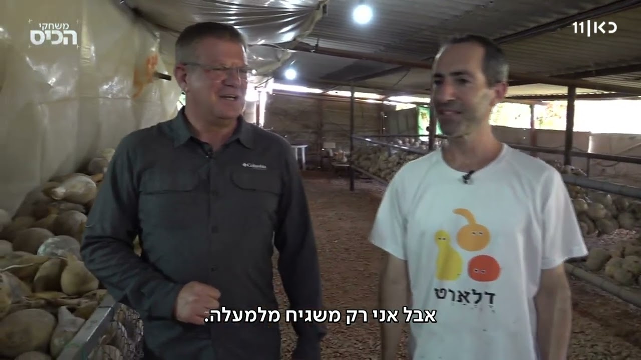 כוסות לשתייה וכלי נגינה: יאיר יוצר חפצים מדלעות