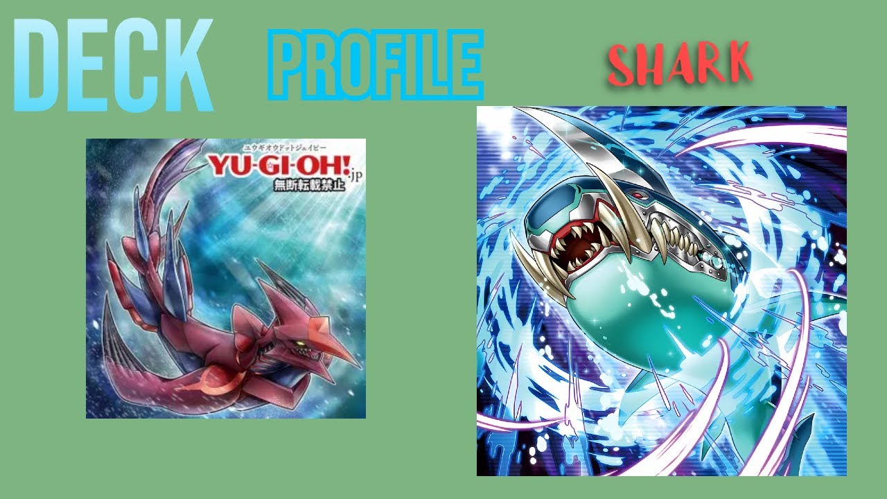 Deck profile Shark 2025-2026