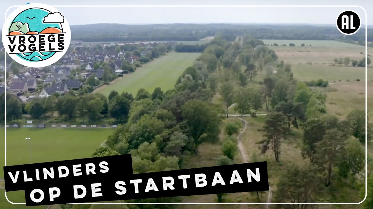 Vlinders landen op de startbaan | TV | | Vroege Vogels