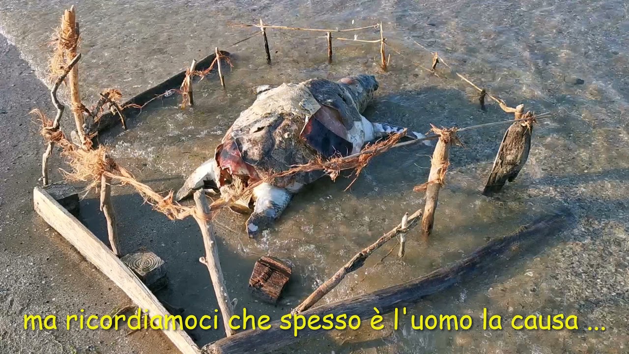 CAMPER - ABRUZZO si parte da Bolzano destinazione Abruzzo 001