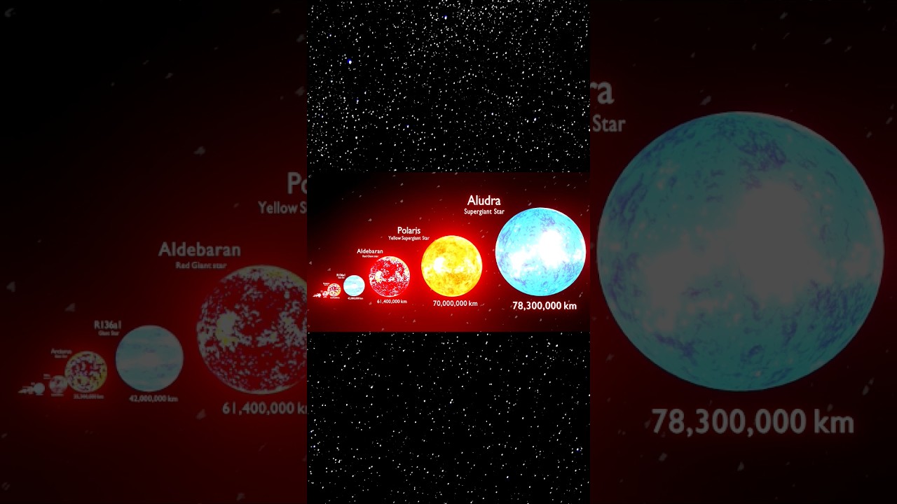 🌟Stars Size Comparison