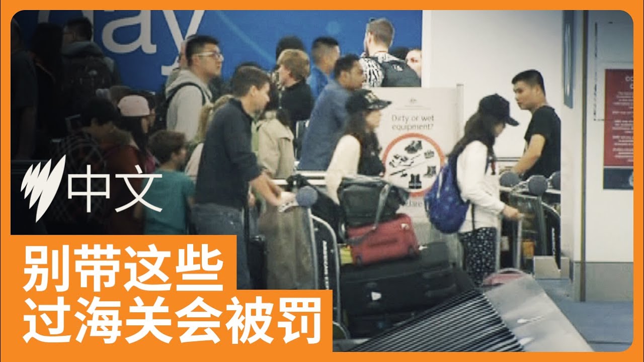 入境澳洲不能带什么？澳洲海关提醒多种节庆食物不得带进澳洲  | SBS中文