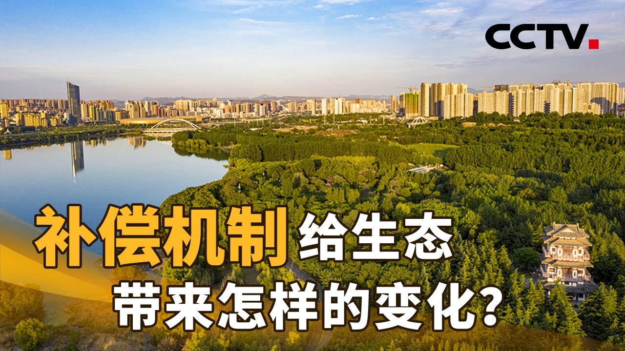 补偿机制，给生态带来怎样的变化？| CCTV「新闻1+1」20220714