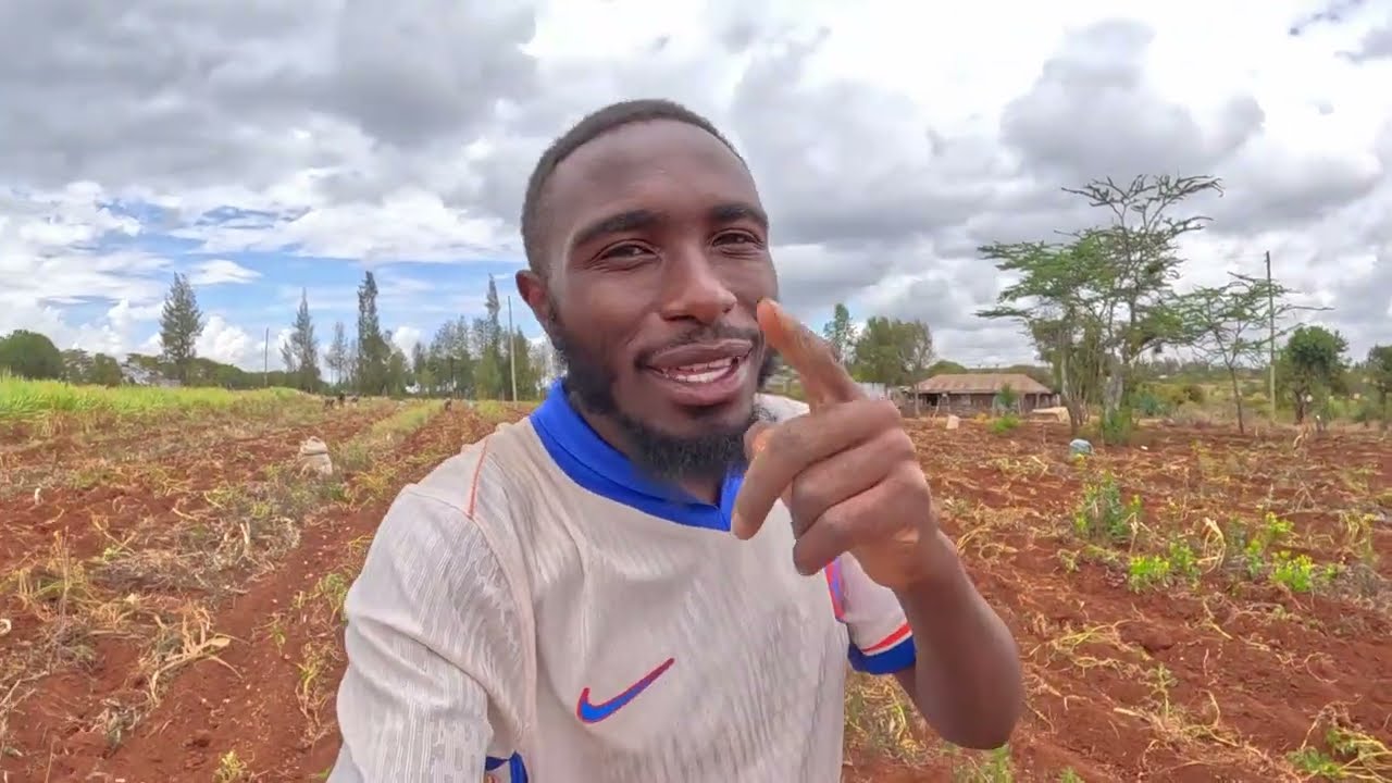 DAY IN LIFE OF HARVESTING IN THE VILLAGE 🥔🥔