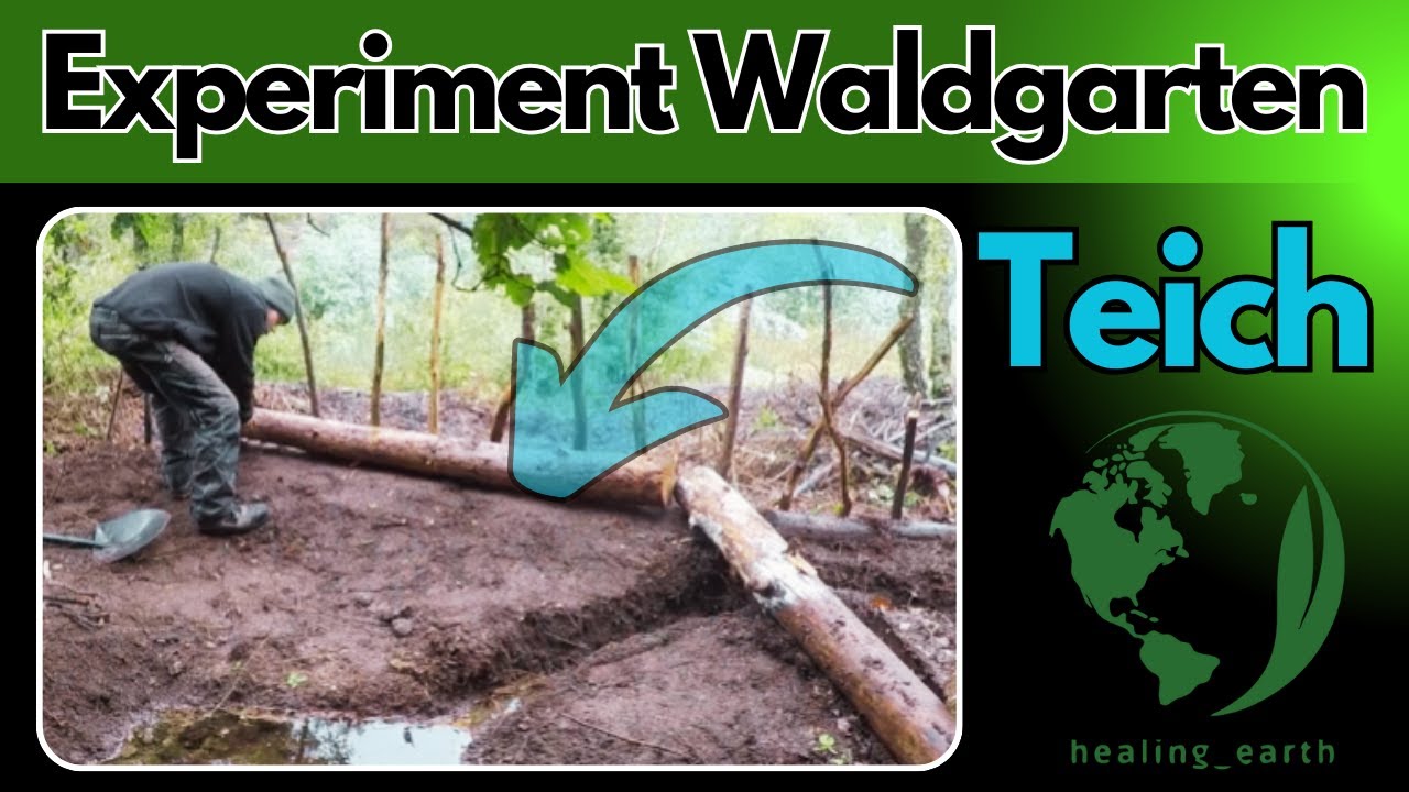 Teich- & Naturdamm mit Überlauf ohne Folie mit Bewässerungsgraben bauen - Food Forest Design Teil 2