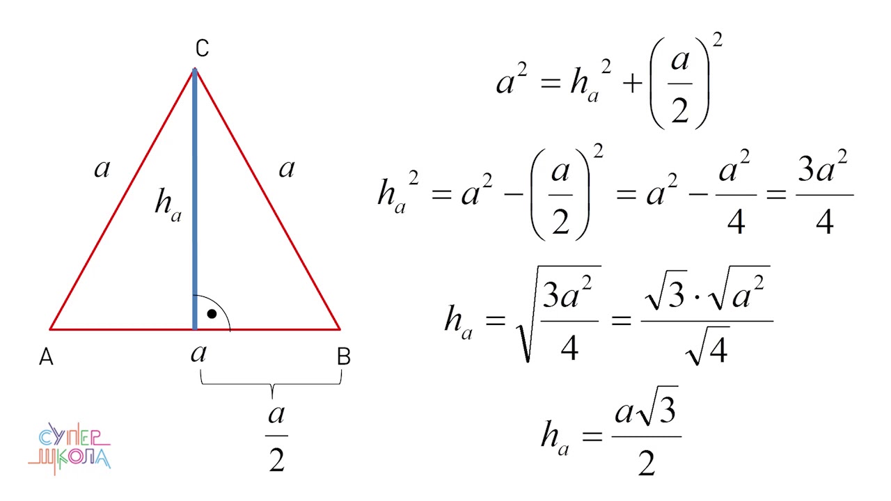 Pitagorina teorema, jednakokraki i jednakostranični trougao - Matematika za 7. razred (#15)