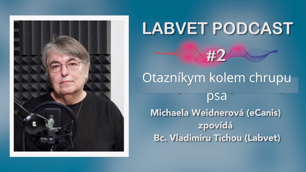 🦷 Otazníky kolem psího chrupu 🦷 | Labvet Podcast #21