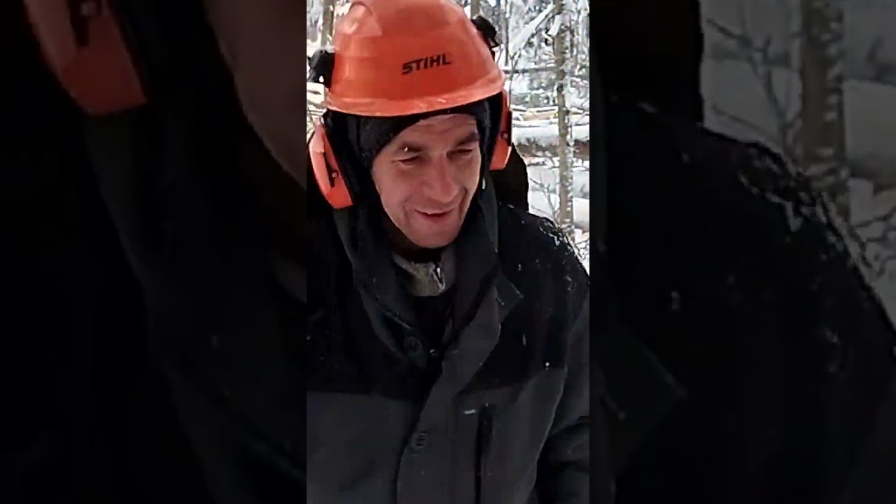 Вохтомский супер клин для валки деревьев