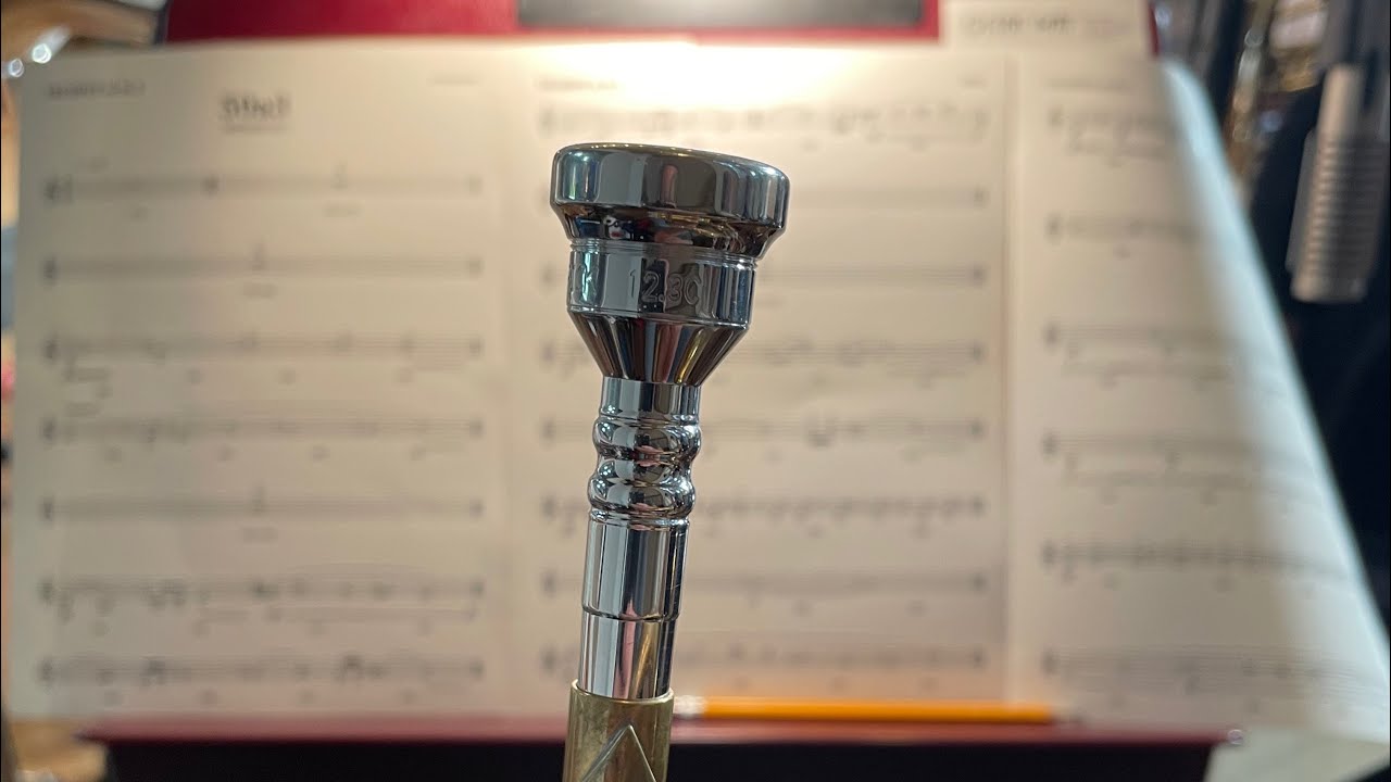 NEW Heavyweight Patrick Mouthpiece pros and cons?