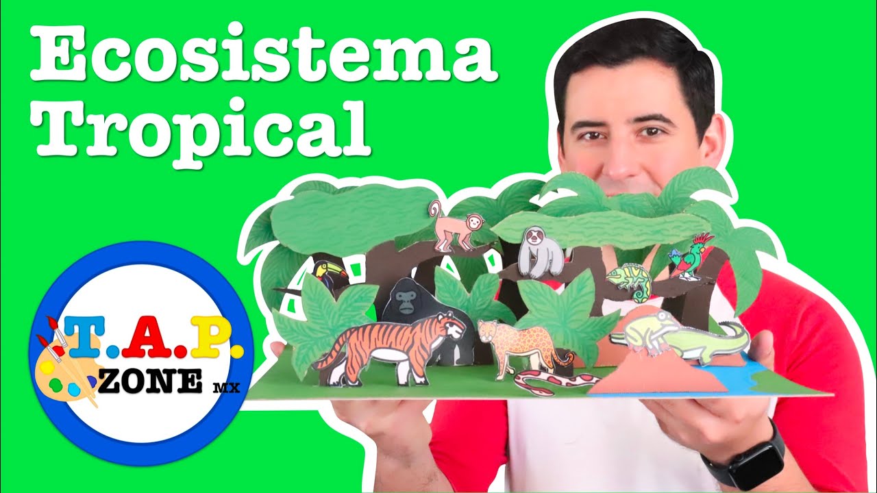 Como hacer la maqueta del Ecosistema Tropical 