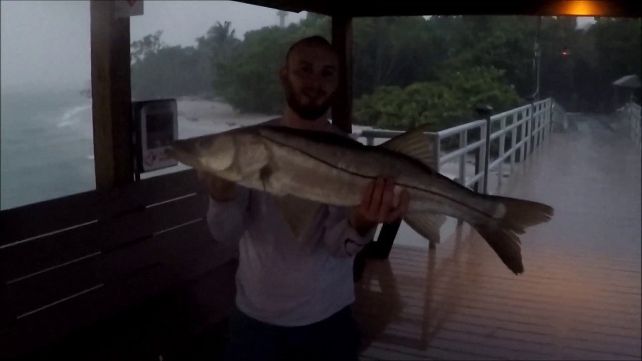 Big Snook caught on flairhawk jig during early morning storm. Sanibel Florida