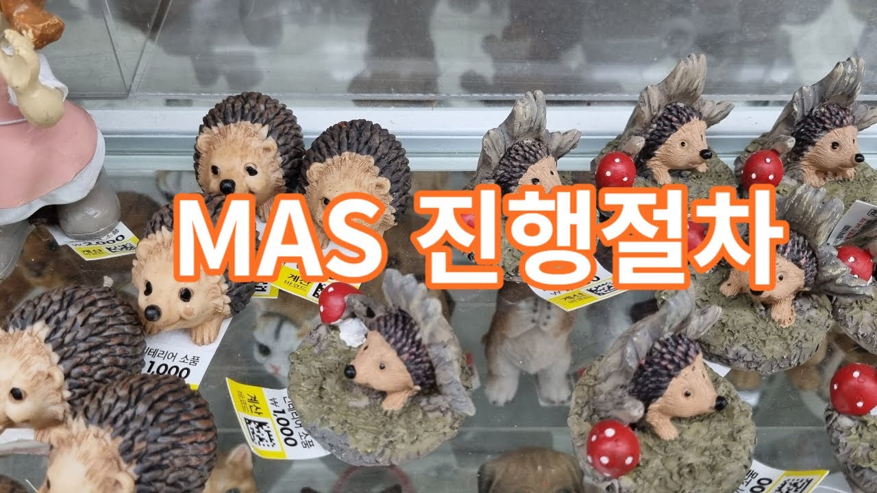 MAS진행절차