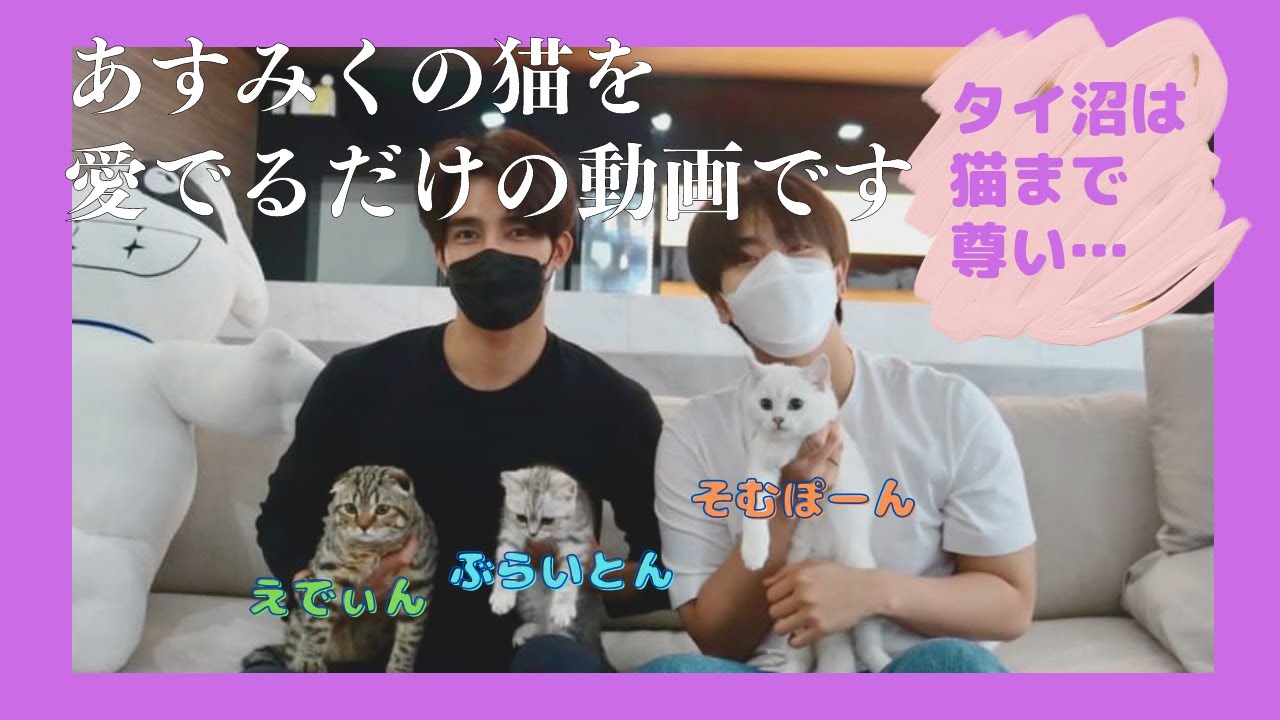 【タイ沼日本語/縦動画】あすみくの飼い猫を愛でる会【EarthMix】【千星物語/1000stars】สมาคมทาสแมว สังกัดEarthMix