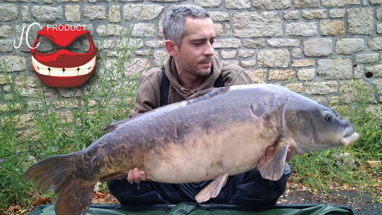CARPE AREA Volume 1 - La Loire