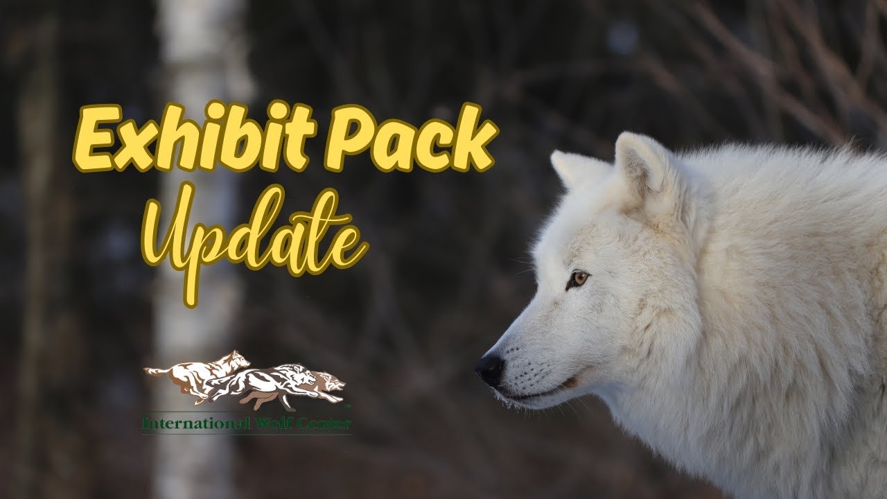 Exhibit Pack Update - 31 January 2025