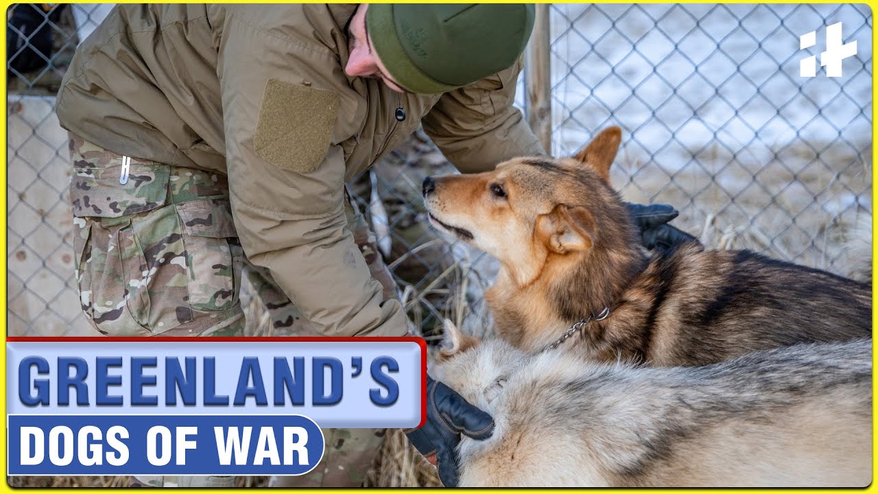 Trump Mocked Greenland’s Dog Sleds Unit But They Are Europe’s Deadliest Arctic Force | Sirius Patrol