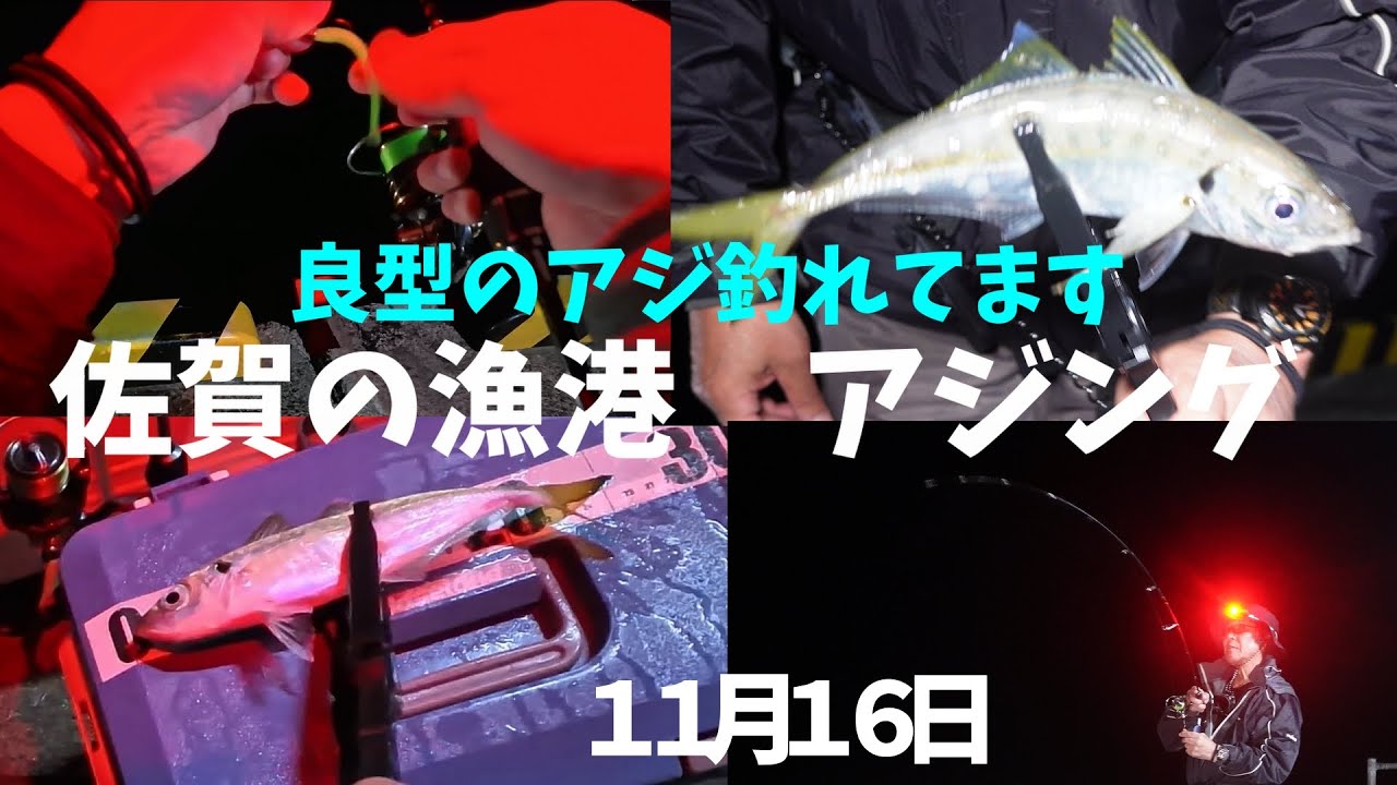 佐賀　アジング　釣り車中泊