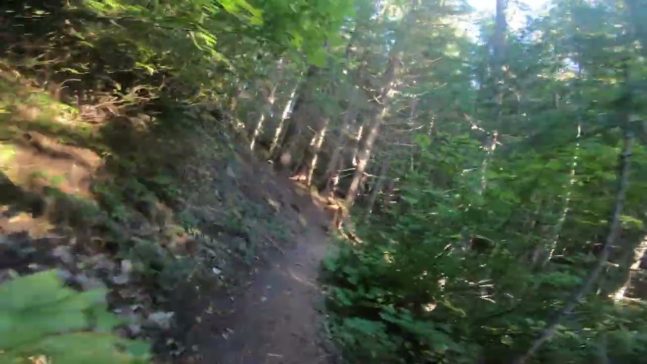 Mt St Helens Ape Canyon - Mountain Bike Bend - Down Hill on this amazing trail