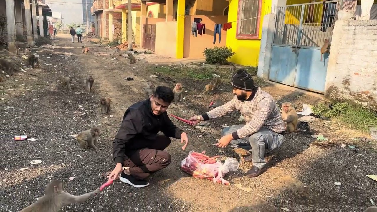 #vlog aap sabhi log v madad kijiye bejuwano ko #help #helping 