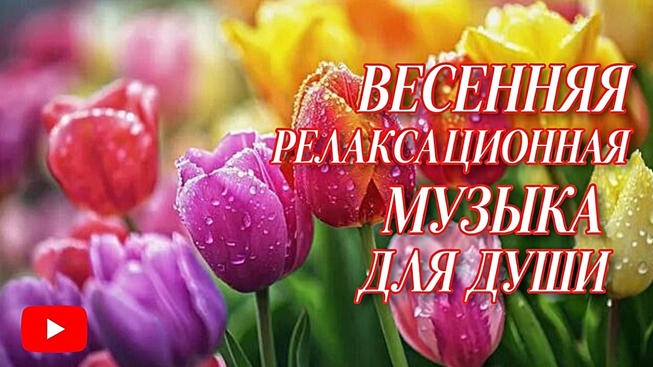 1  ЧАС  НЕЖНОЙ  ДУШЕВНОЙ МУЗЫКИ  ДЛЯ ДУШИ! 2026  РЕЛАКС И ПОЗИТИВ #атмосфернаямузыка #топ