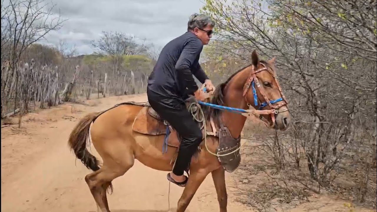 LEVEI O CARRO DO REI E DEIXEI ELE A CAVALO 