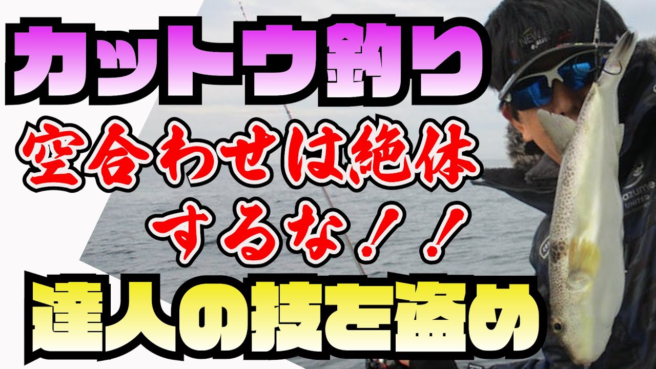 空合わせするな‼️ショウサイフグカットウ釣り😁名人の爆釣動画